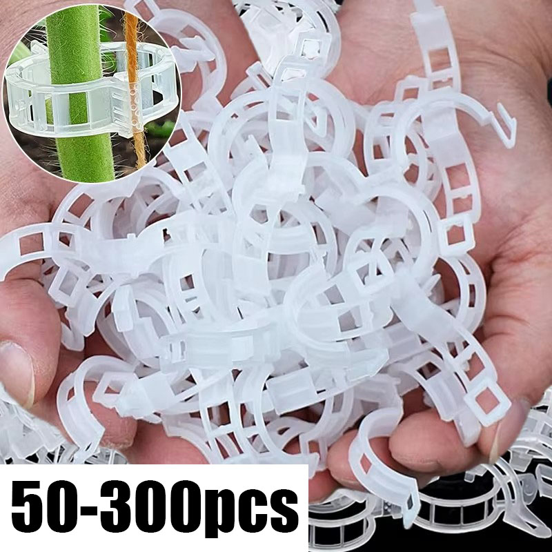 Gardening Tools Holder - คลิปหนีบยึดต้นไม้แบบใช้ซ้ำได้ 50-300 ชิ้น ทำจากพลาสติก สำหรับเชื่อมต่อและยึดต้นไม้ เช่น