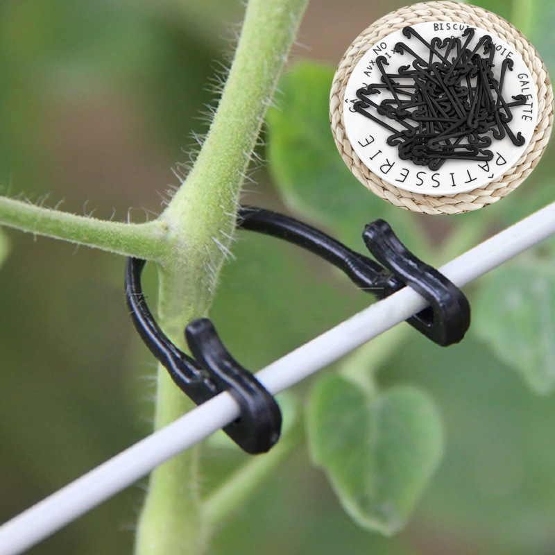 Gardening Tools For Vines - 50PCS Vines Fastener ผูกคลิปหัวเข็มขัดคงที่ Lashing เครื่องมือผัก