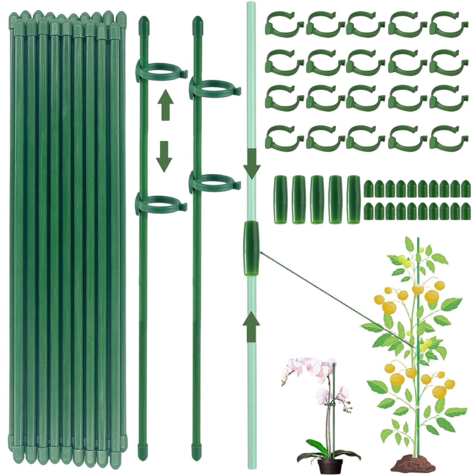 Gardening Tools Holder - เสาค้ำต้นไม้แบบเดี่ยว สำหรับพุ่มไม้ ดอกไม้ ผัก เถาวัลย์ กล้วยไม้