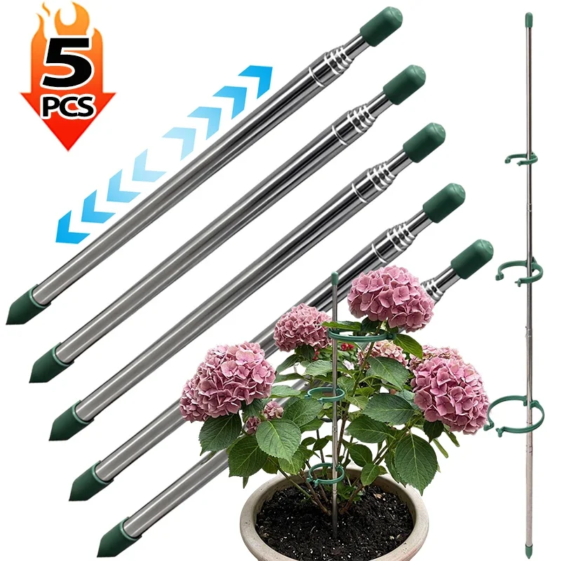Gardening Tools Holder - วงแหวนรองรับต้นไม้แบบยืดหดได้ 5/1 ชิ้น สีเขียว สำหรับต้นไม้กระถาง ป้องกันการงอ