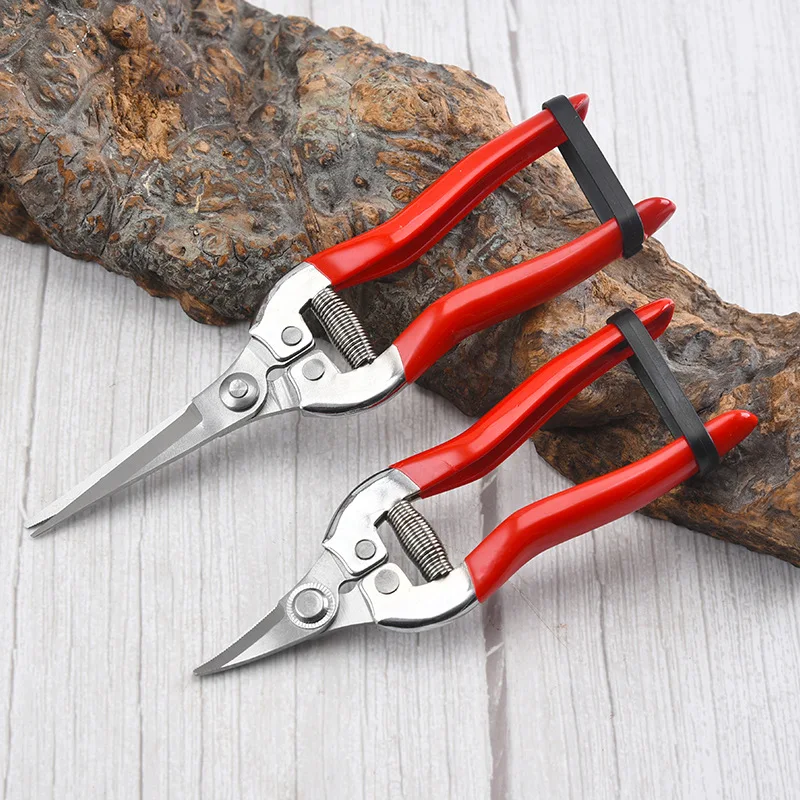 Gardening Tools For Women - สแตนเลสกรรไกรตัดแต่งกิ่งกรรไกรทําสวนในครัวเรือนผลไม้หยิบองุ่นกรรไกรสวนสาขาตัดแต่งกิ่งเครื่องมือ