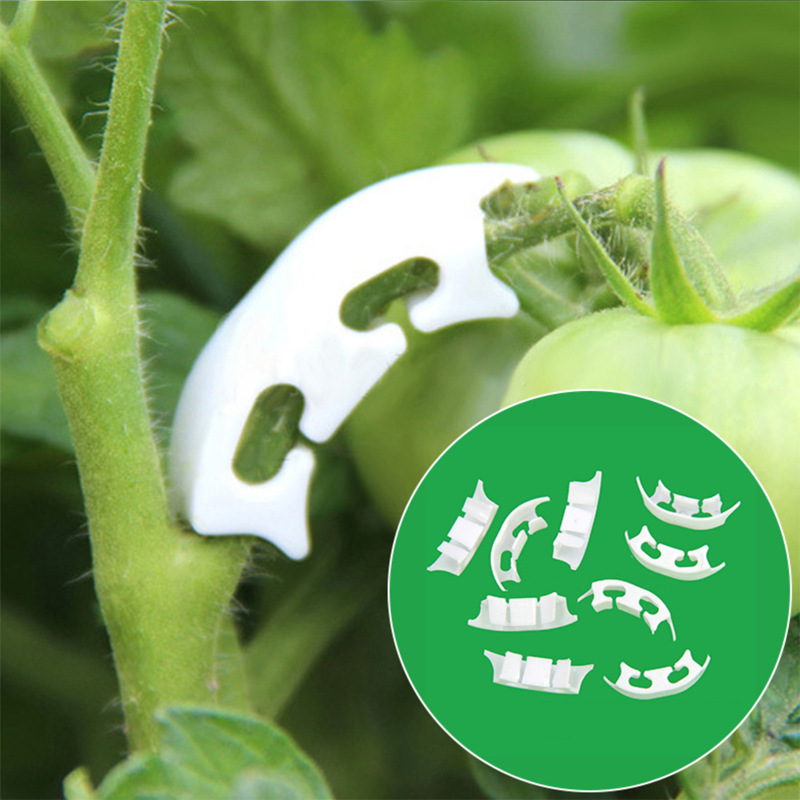 Gardening Tools For Vines - 50/100Pcs Botany-Stem Vine สายรัดคลิปสวนพืชมาพร้อมกับแหวนเข็มชัดเครื่องมือยึดขาตั้งผู้ถือมะเขือเทศดอกไม้คงที่ Suppor