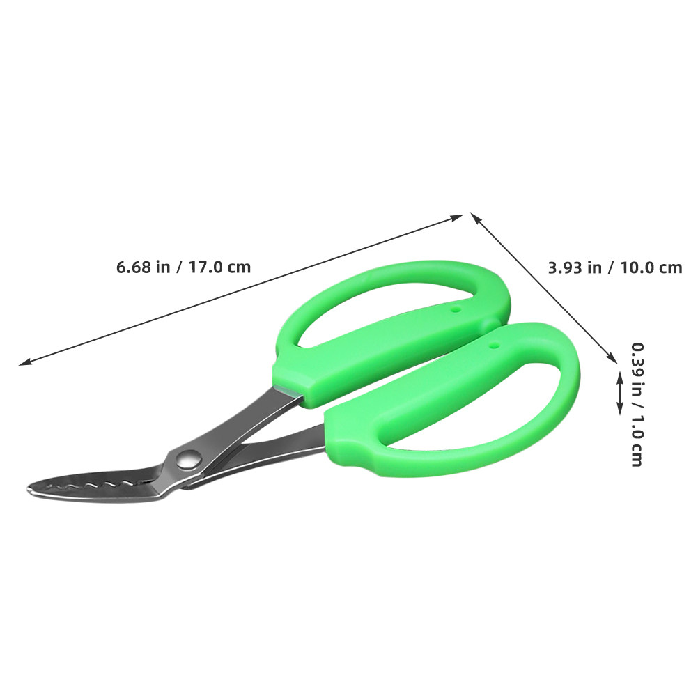 กรรไกรตัดหญ้ารุ่นอัพเกรด ดีไซน - Gardening Tools Scissors บทวิจารณ์และราคา