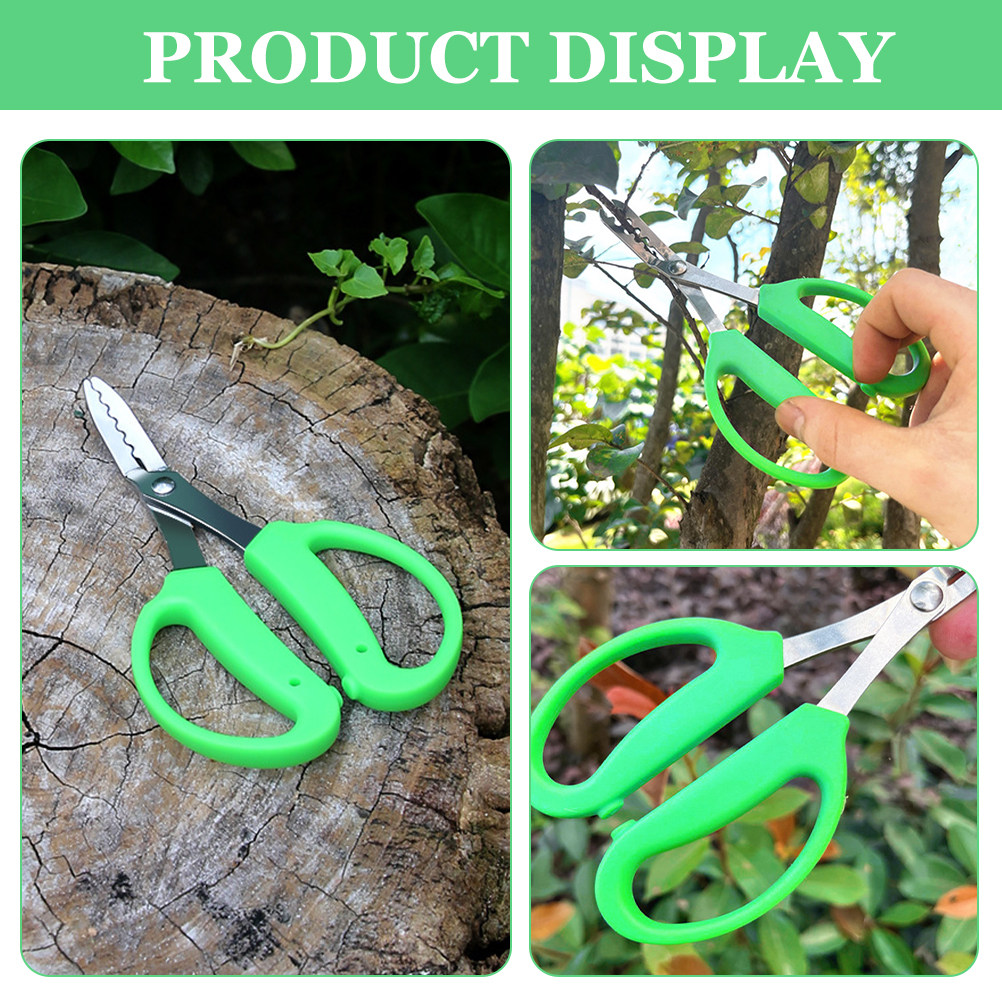 กรรไกรตัดหญ้ารุ่นอัพเกรด ดีไซน - Gardening Tools Scissors บทวิจารณ์และราคา