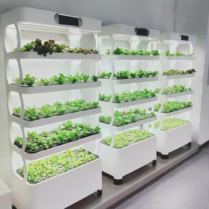 ระบบปลูกผักไฮโดรโปนิกส์ขนาดเล็ - Greenhouse Mini Indoor บทวิจารณ์และราคา