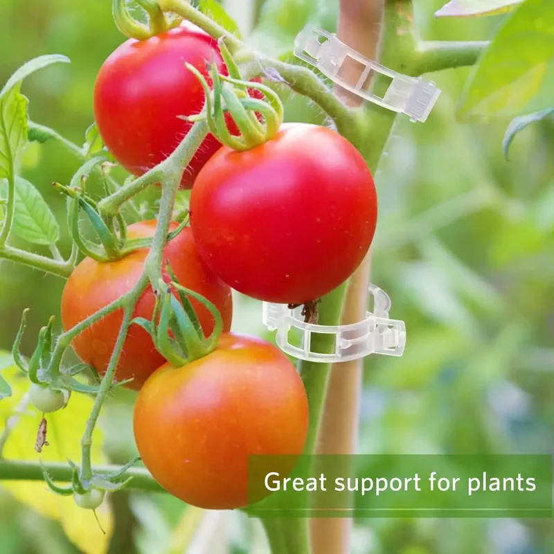 คลิปหนีบยึดต้นไม้แบบใช้ซ้ำได้  - Gardening Tools Holder บทวิจารณ์และราคา