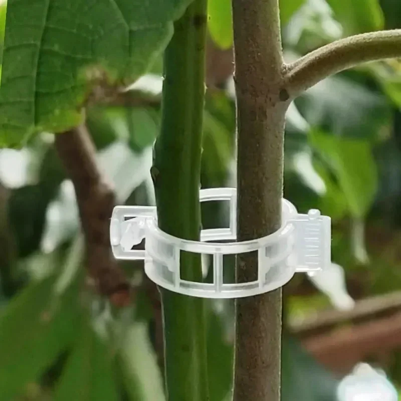 คลิปหนีบยึดต้นไม้แบบใช้ซ้ำได้  - Gardening Tools Holder บทวิจารณ์และราคา