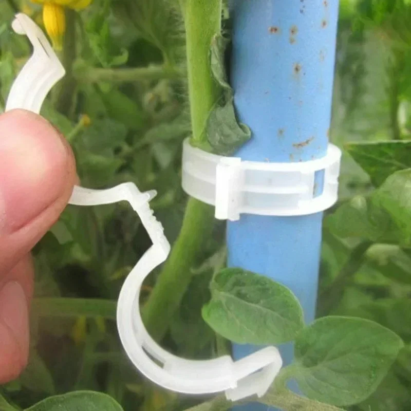 คลิปหนีบยึดต้นไม้แบบใช้ซ้ำได้  - Gardening Tools Holder บทวิจารณ์และราคา