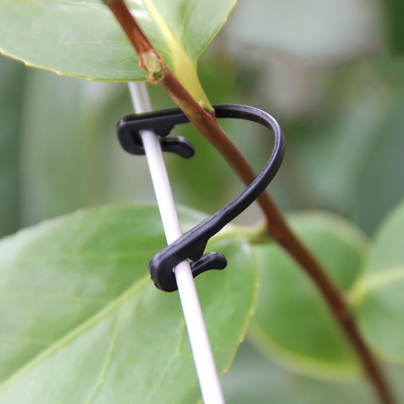 50PCS Vines Fastener ผูกคลิปหั - Gardening Tools For Vines บทวิจารณ์และราคา