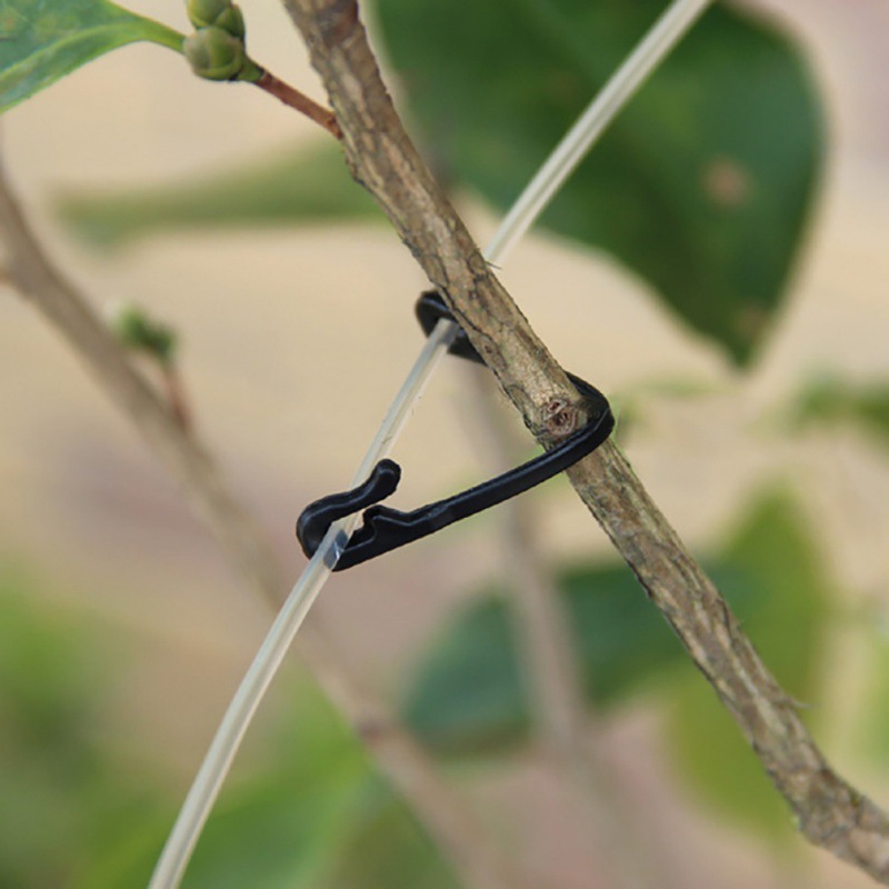 50PCS Vines Fastener ผูกคลิปหั - Gardening Tools For Vines บทวิจารณ์และราคา