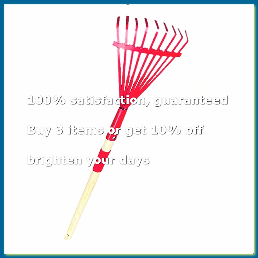 คราดเด็กพร้อมด้ามไม้เนื้อแข็งแ - Gardening Tools For 3 Year Old บทวิจารณ์และราคา