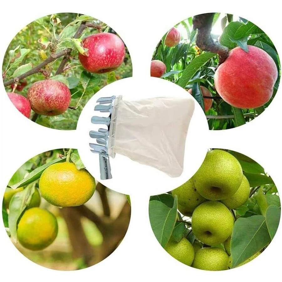 ชุดเครื่องมือเก็บผลไม้ 3-in-1  - Gardening Tools Bag บทวิจารณ์และราคา
