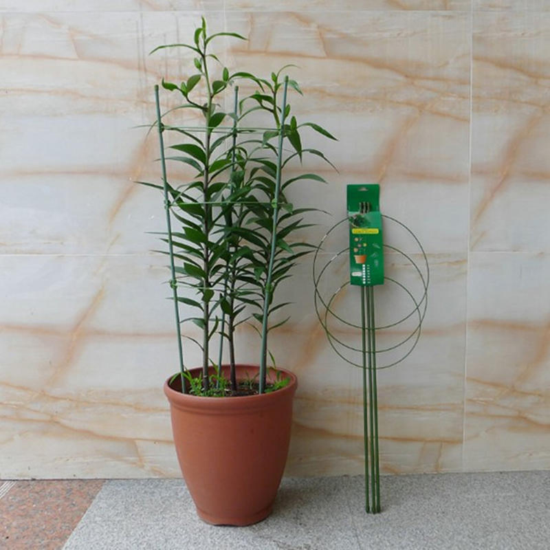 เสาค้ำต้นไม้ขนาด 45 ซม. วงแหวน - Gardening Tools Range บทวิจารณ์และราคา