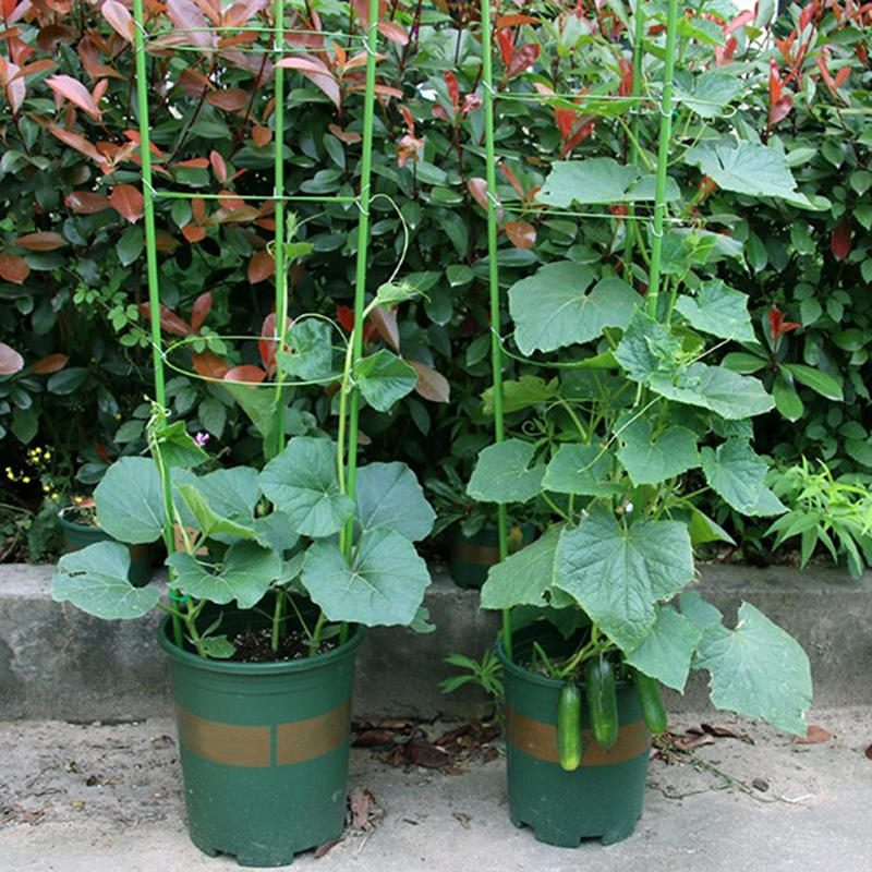 เสาค้ำต้นไม้ขนาด 45 ซม. วงแหวน - Gardening Tools Range บทวิจารณ์และราคา