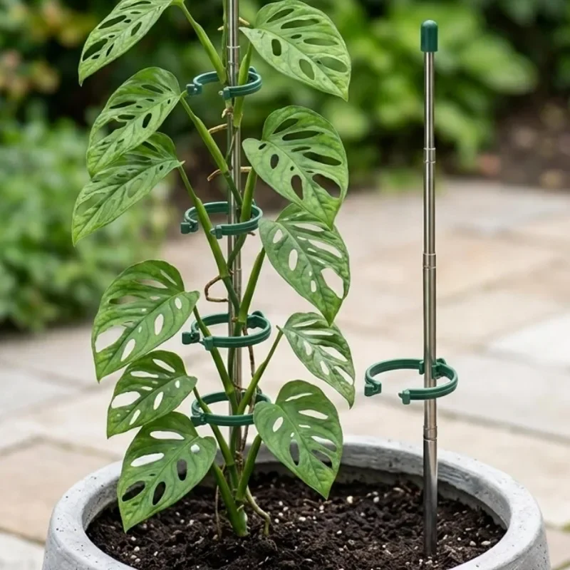 วงแหวนรองรับต้นไม้แบบยืดหดได้  - Gardening Tools Holder บทวิจารณ์และราคา
