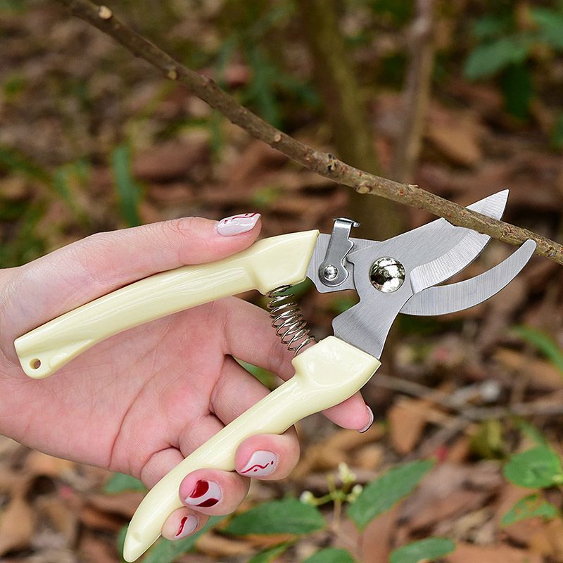 กรรไกรตัดแต่งกิ่งไม้แบบประหยัด - Gardening Tools Scissors บทวิจารณ์และราคา