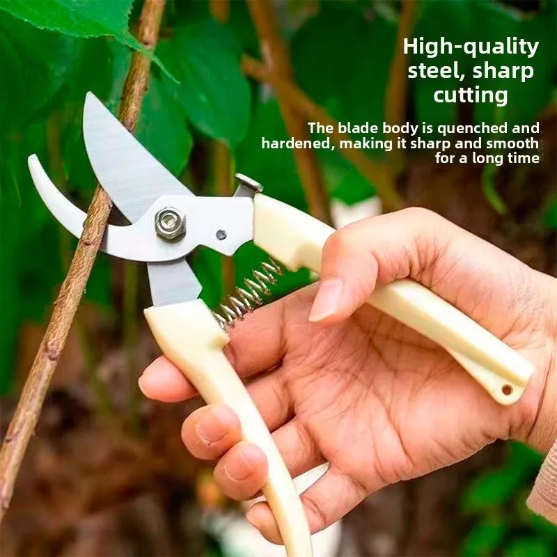 กรรไกรตัดแต่งกิ่งไม้แบบประหยัด - Gardening Tools Scissors บทวิจารณ์และราคา