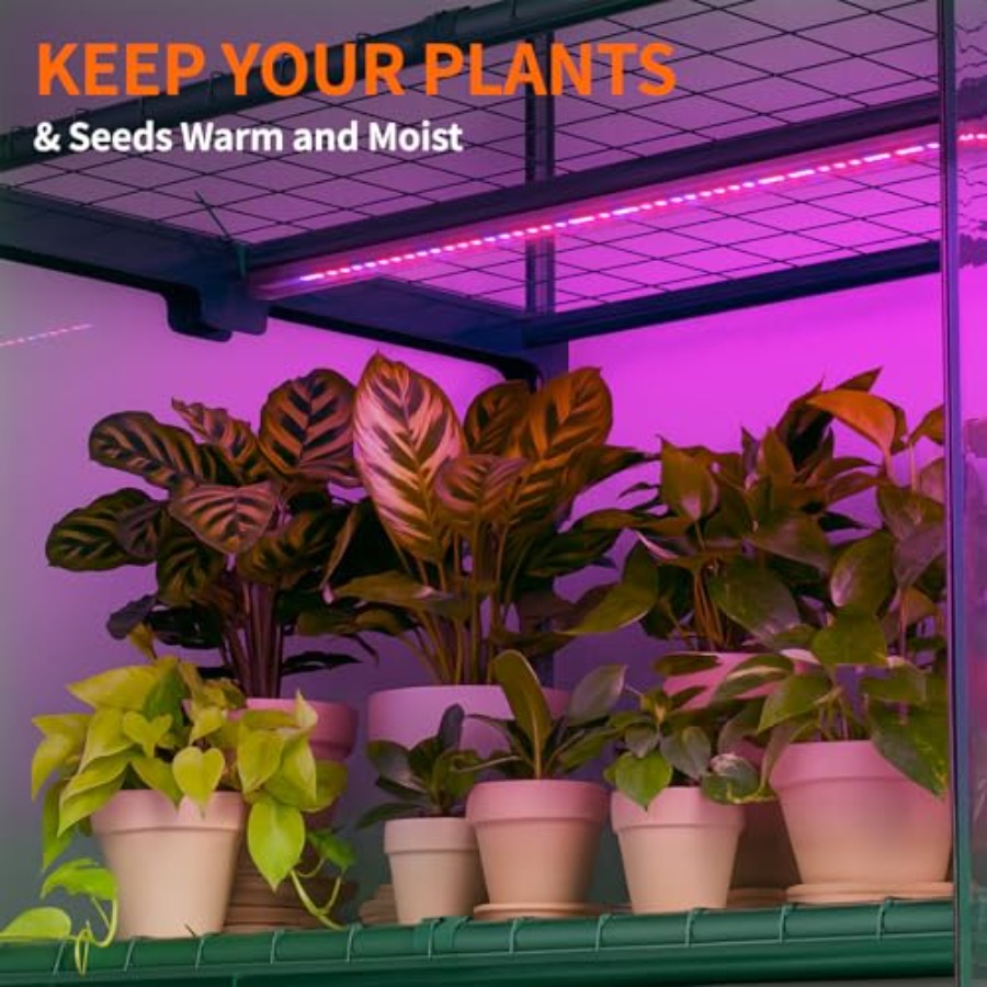เรือนกระจกในร่มพร้อมไฟปลูกต้นไ - Greenhouse Mini Indoor บทวิจารณ์และราคา