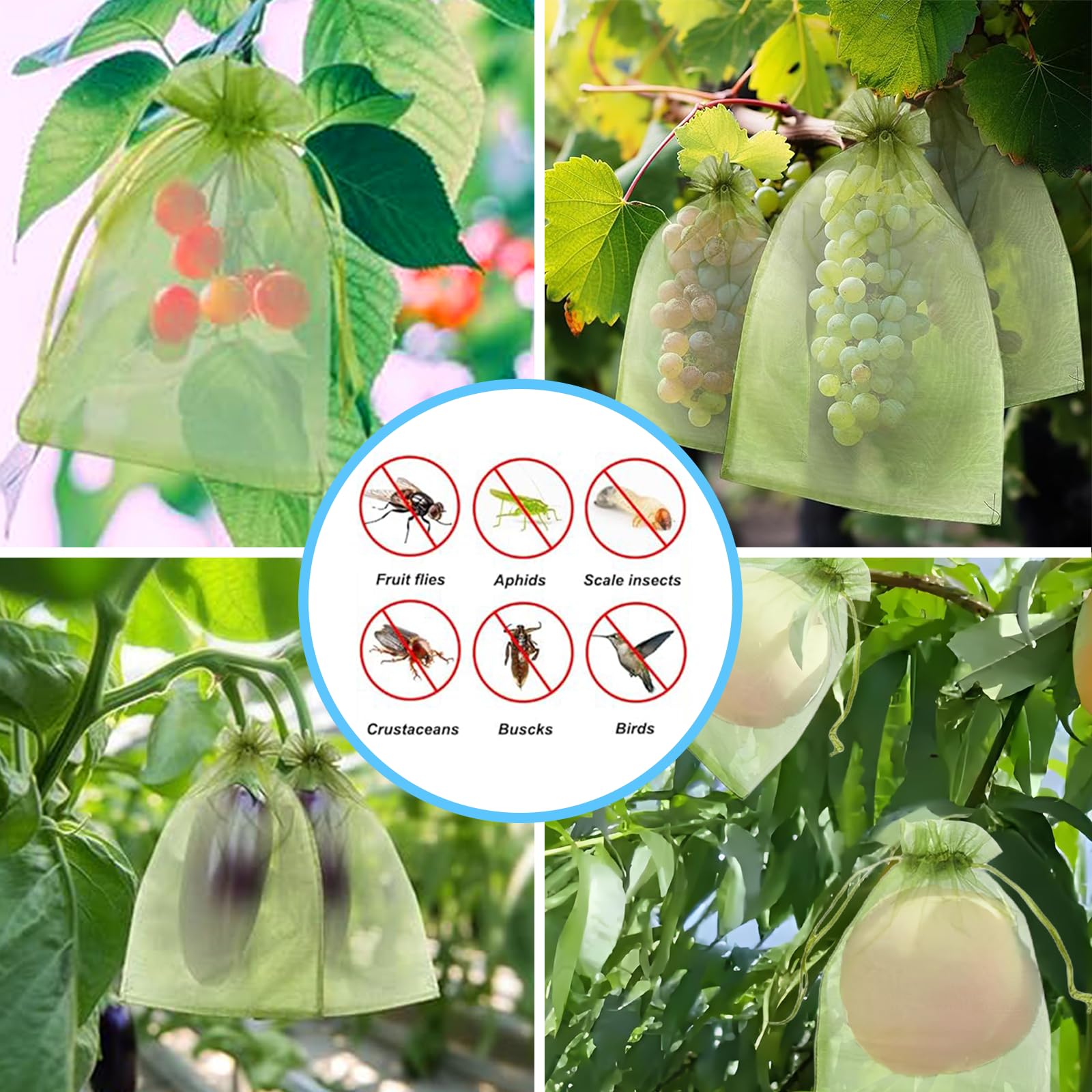 ตาข่ายป้องกันนกอย่างมีประสิทธิ - Gardening Tools Bag บทวิจารณ์และราคา