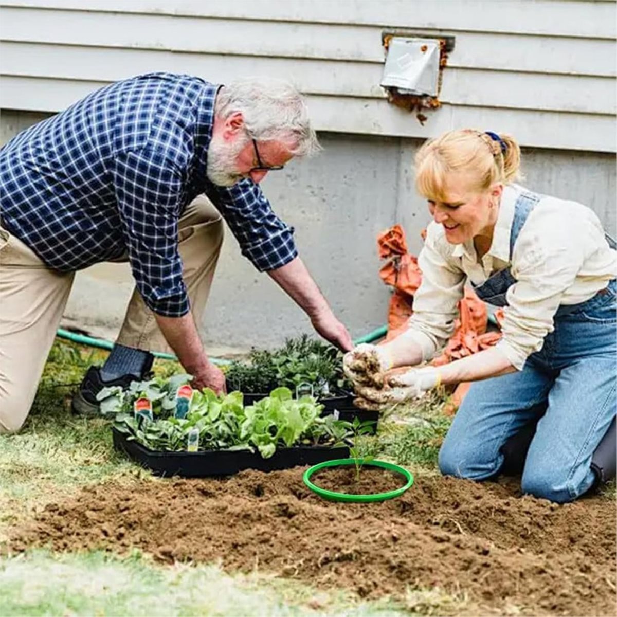 ลดราคาครั้งใหญ่! แหวนป้องกันต้ - Gardening Tools Big บทวิจารณ์และราคา