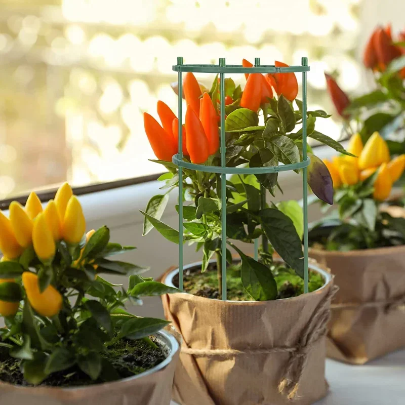 เสาค้ำต้นไม้พลาสติก สำหรับดอกไ - Gardening Tools Range บทวิจารณ์และราคา