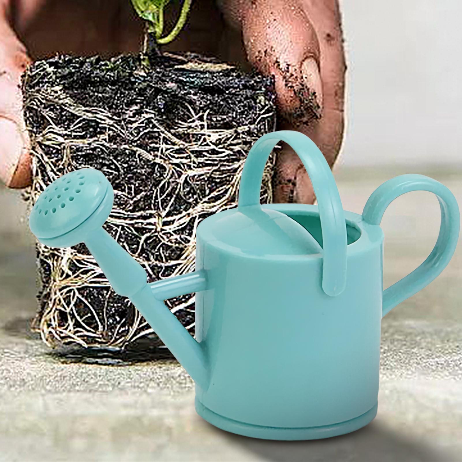 บัวรดน้ำขนาดเล็ก 1 ชิ้น สำหรับ - Gardening Tools For Kids บทวิจารณ์และราคา