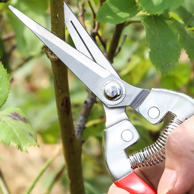 สแตนเลสกรรไกรตัดแต่งกิ่งกรรไกร - Gardening Tools For Women บทวิจารณ์และราคา
