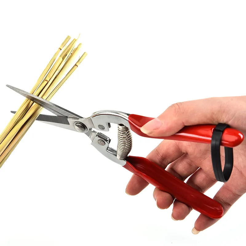 สแตนเลสกรรไกรตัดแต่งกิ่งกรรไกร - Gardening Tools For Women บทวิจารณ์และราคา