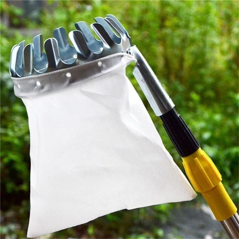 เครื่องมือเก็บผลไม้ในสวน สำหรั - Gardening Tools Bag บทวิจารณ์และราคา