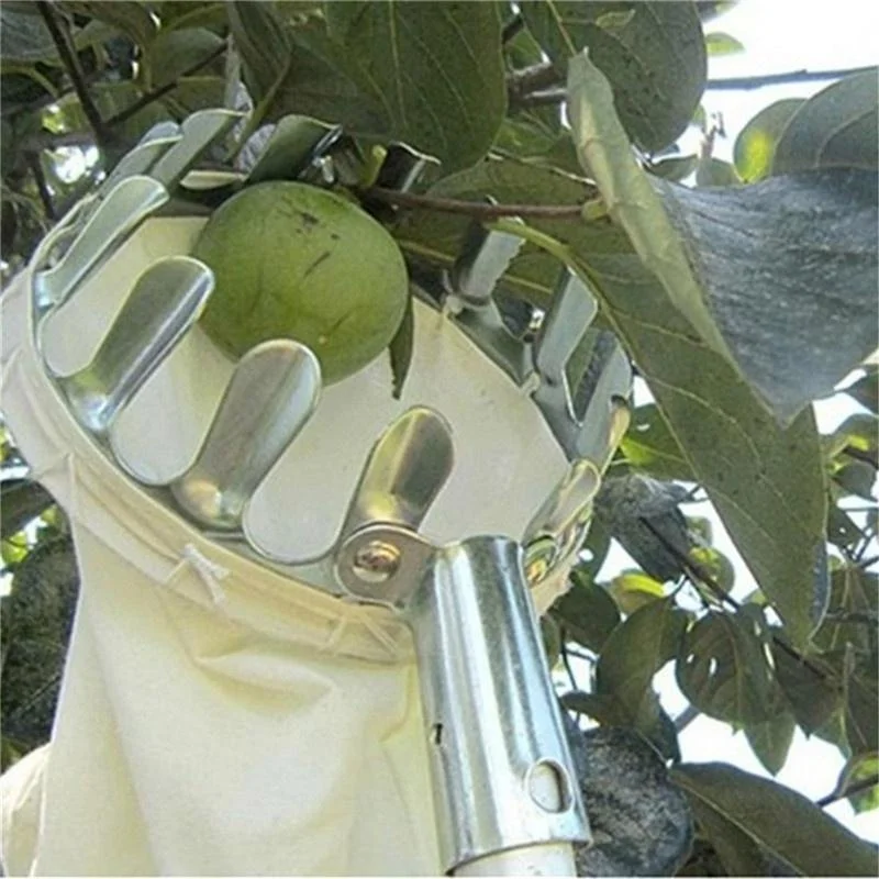 เครื่องมือเก็บผลไม้ในสวน สำหรั - Gardening Tools Bag บทวิจารณ์และราคา