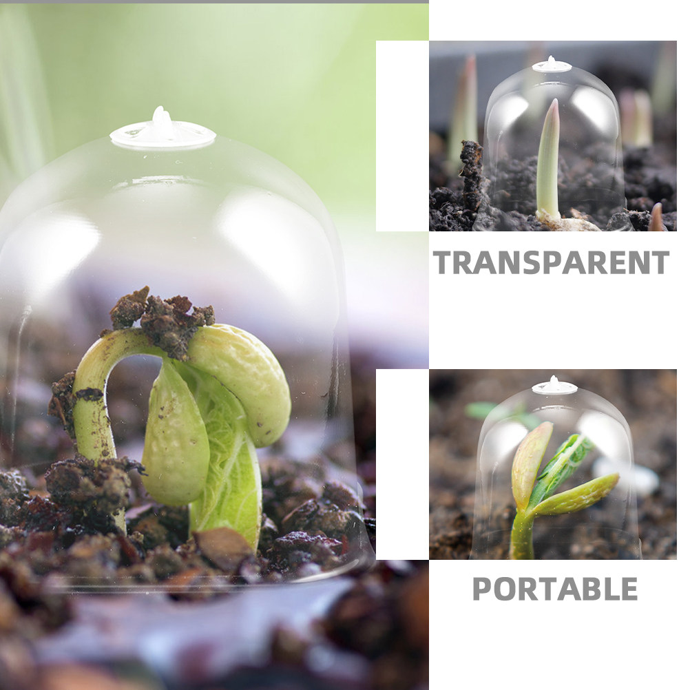 6 ชิ้น กระถางเพาะต้นกล้าทรงสี่ - Greenhouse Mini Indoor บทวิจารณ์และราคา