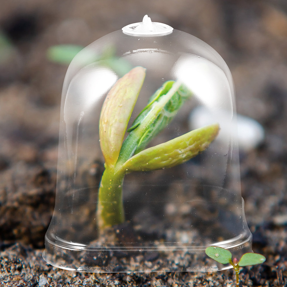 6 ชิ้น กระถางเพาะต้นกล้าทรงสี่ - Greenhouse Mini Indoor บทวิจารณ์และราคา