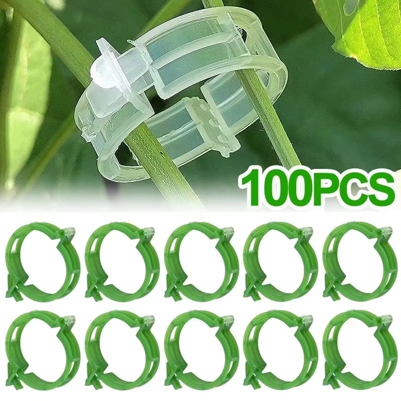 คลิปพลาสติกสำหรับยึดต้นไม้ 50- - Gardening Tools For Vines บทวิจารณ์และราคา