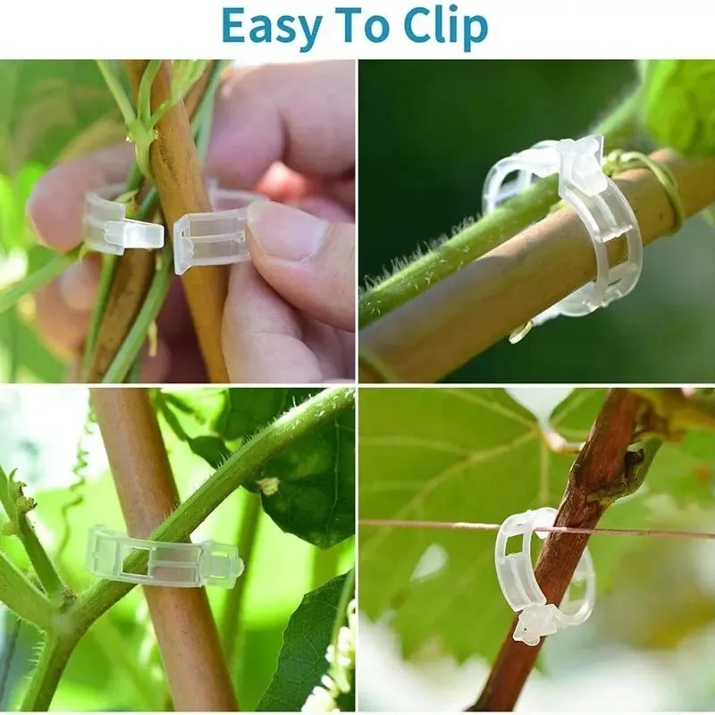 คลิปพลาสติกสำหรับยึดต้นไม้ 50- - Gardening Tools For Vines บทวิจารณ์และราคา