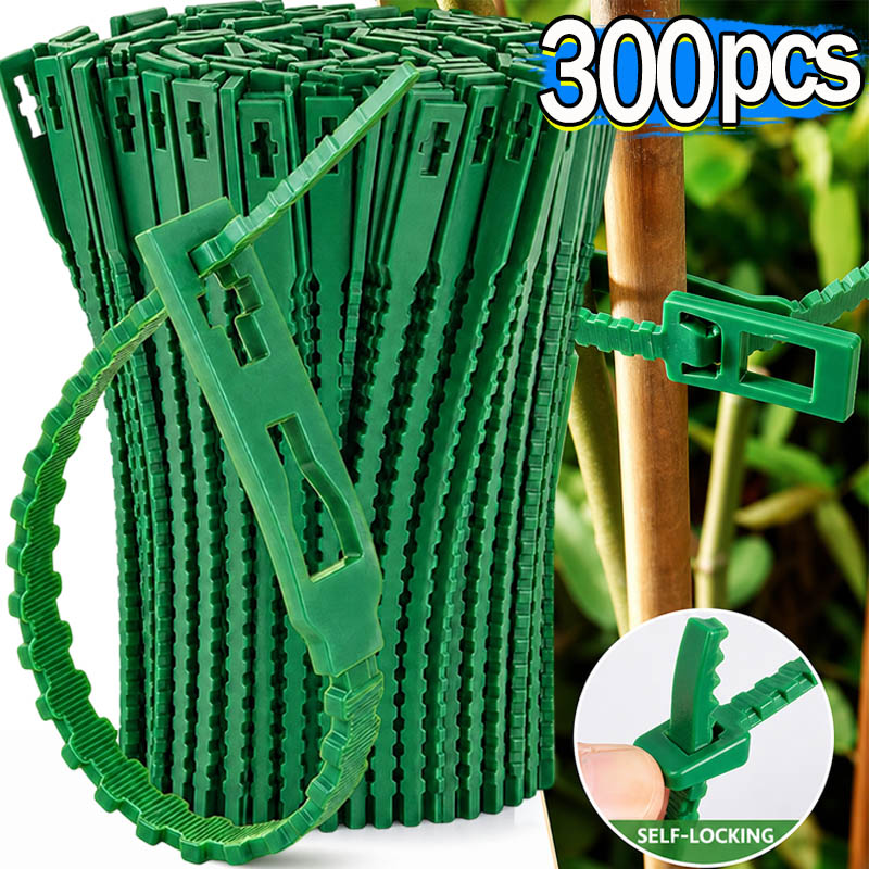 สายรัดต้นไม้แบบใช้ซ้ำได้ สำหรั - Gardening Tools For Vines บทวิจารณ์และราคา