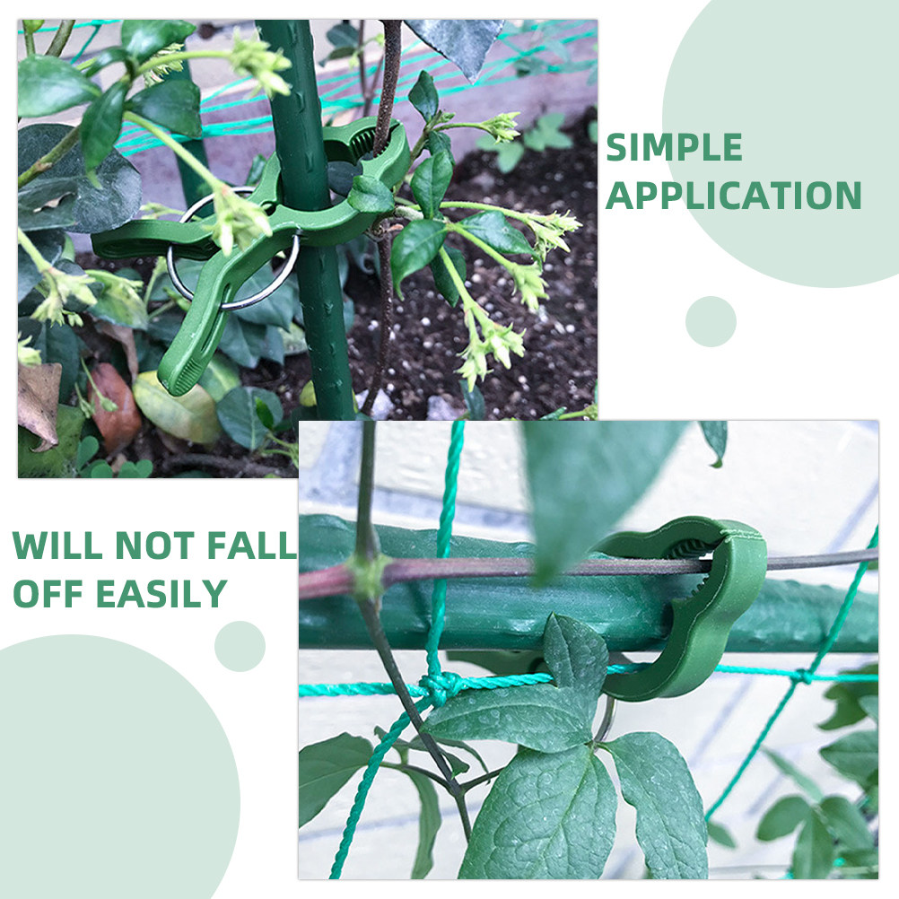 60 ชิ้น คลิปหนีบต้นไม้ในสวน ตั - Gardening Tools For Vines บทวิจารณ์และราคา