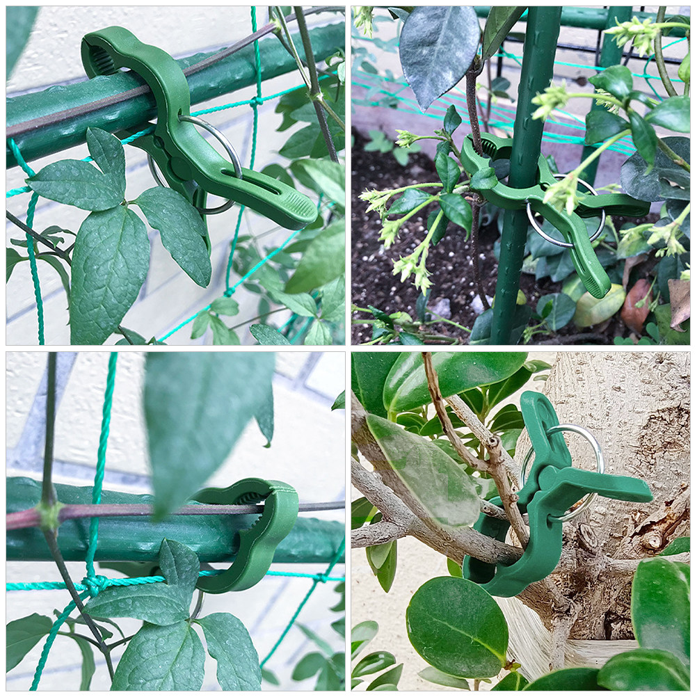 60 ชิ้น คลิปหนีบต้นไม้ในสวน ตั - Gardening Tools For Vines บทวิจารณ์และราคา